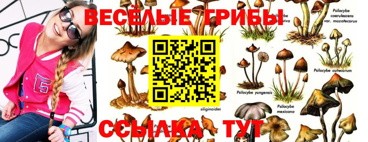 Галлюциногенные грибы мухоморы  Вход с VPN  Батайск 