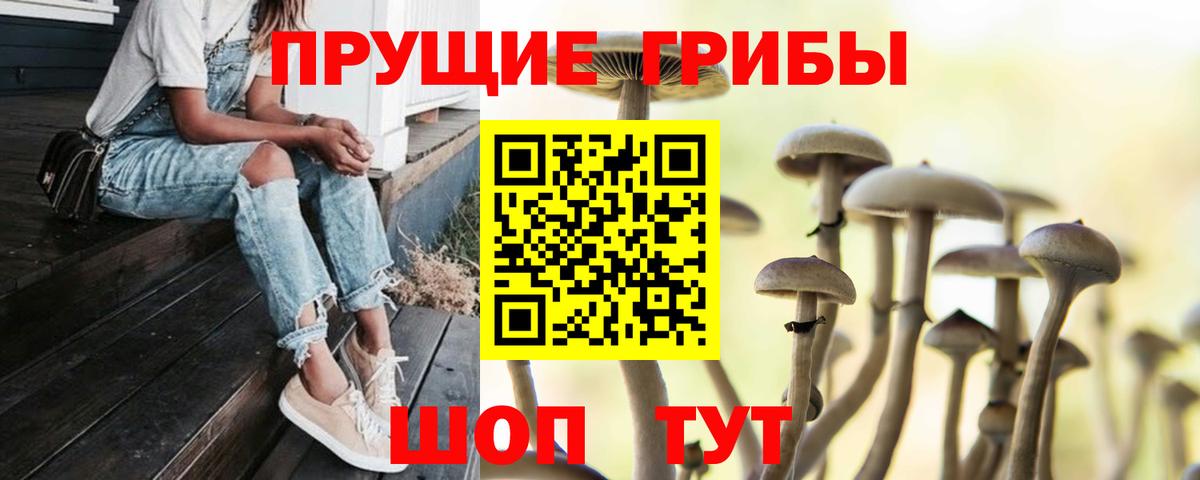 Псилоцибиновые грибы GOLDEN TEACHER Батайск